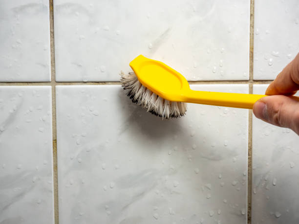 Best Same-Day Mold Removal  in Glenmont, MD