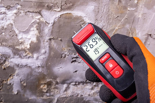 Best Home Mold Removal  in Glenmont, MD