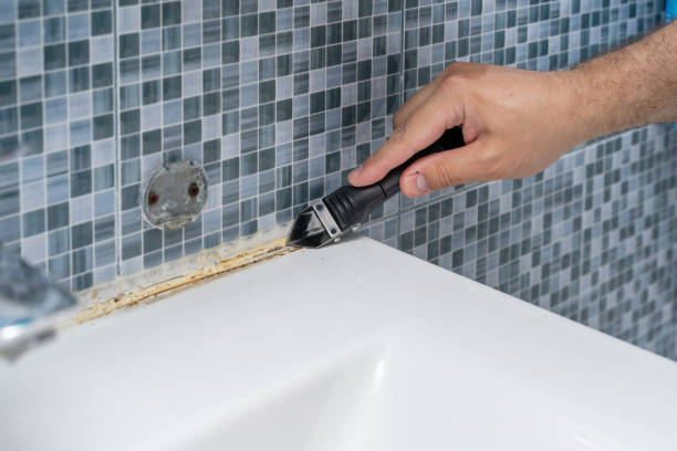 Best Toxic Mold Removal  in Glenmont, MD